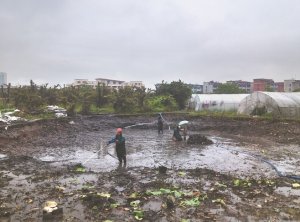 华池河道鱼塘清淤